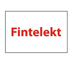 2019 0105 Fintelekt logo 01