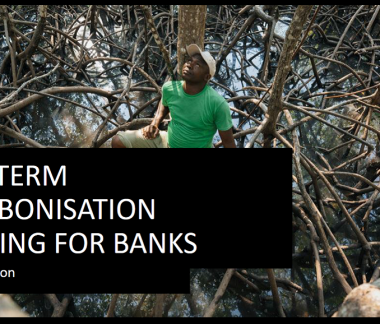 ABA Position Paper on Long-Term Decarbonisation Planning for Banks